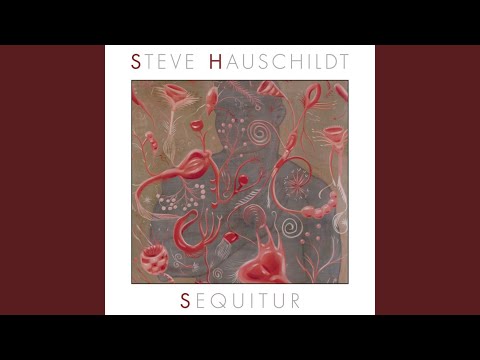Steve Hauschildt — Steep Decline