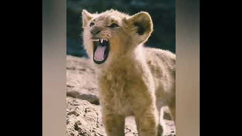 Call me when you want call me when you need #Shorts