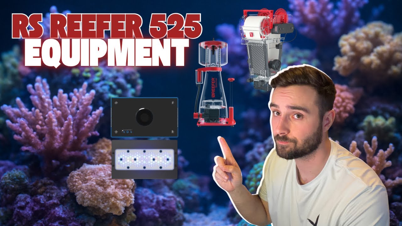 Мой полный разбор оборудования Red Sea Reefer 525!