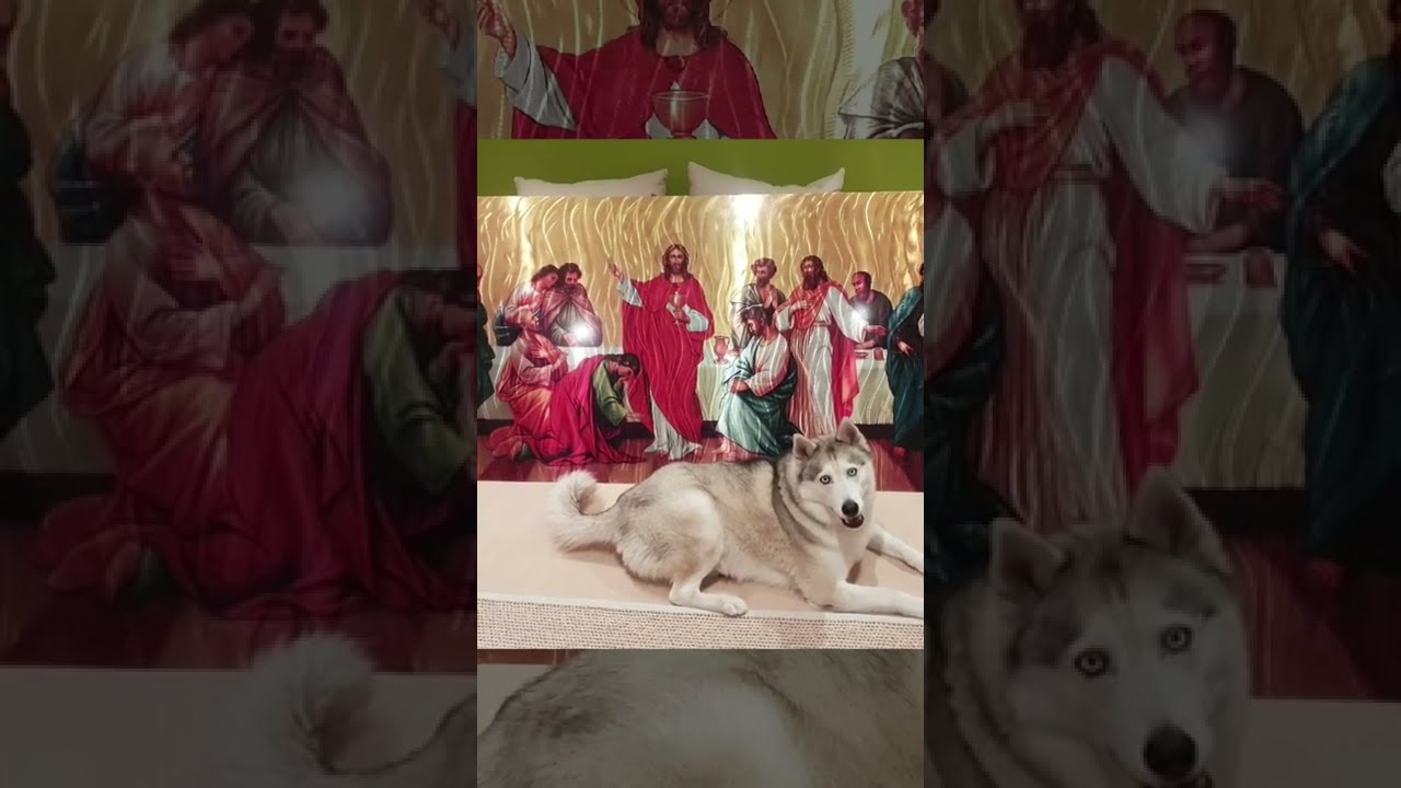 Metal Wall Art, Metal Art, Metal Sculpture Australia Made - YouTube