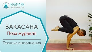 Как делать бакасану. Поза журавля. Техника выполнения и частые ошибки в практике бакасаны.