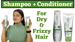 How to Get Rid of Frizzy Hair | Best Shampoo & Conditioner for Dry Frizzy Hair | Saru's Empire