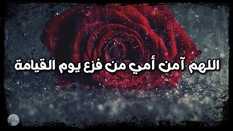 سورة المعارج من الآية ١١ إلى الآية ٢٠