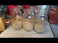 Canning Garbanzo Beans & Garlic (for Homemade Hummus)~The Kneady Homesteader