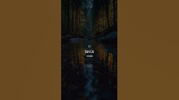 ﴿إِنَّنِي مَعَكُمَا أَسْمَعُ وَأَرَى﴾ | تلاوة مؤثرة من سورة طه #شريف_مصطفى #قرآن #تدبر