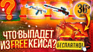 ПРОВЕРЯЕМ ВЕСЕННИЙ КАЛЕНДАРЬ SKINBOX | ЧЕСТНЫЕ ШАНСЫ СКИНБОКС #ивент #cs2 #кс #кс2 #проверка #кейсы