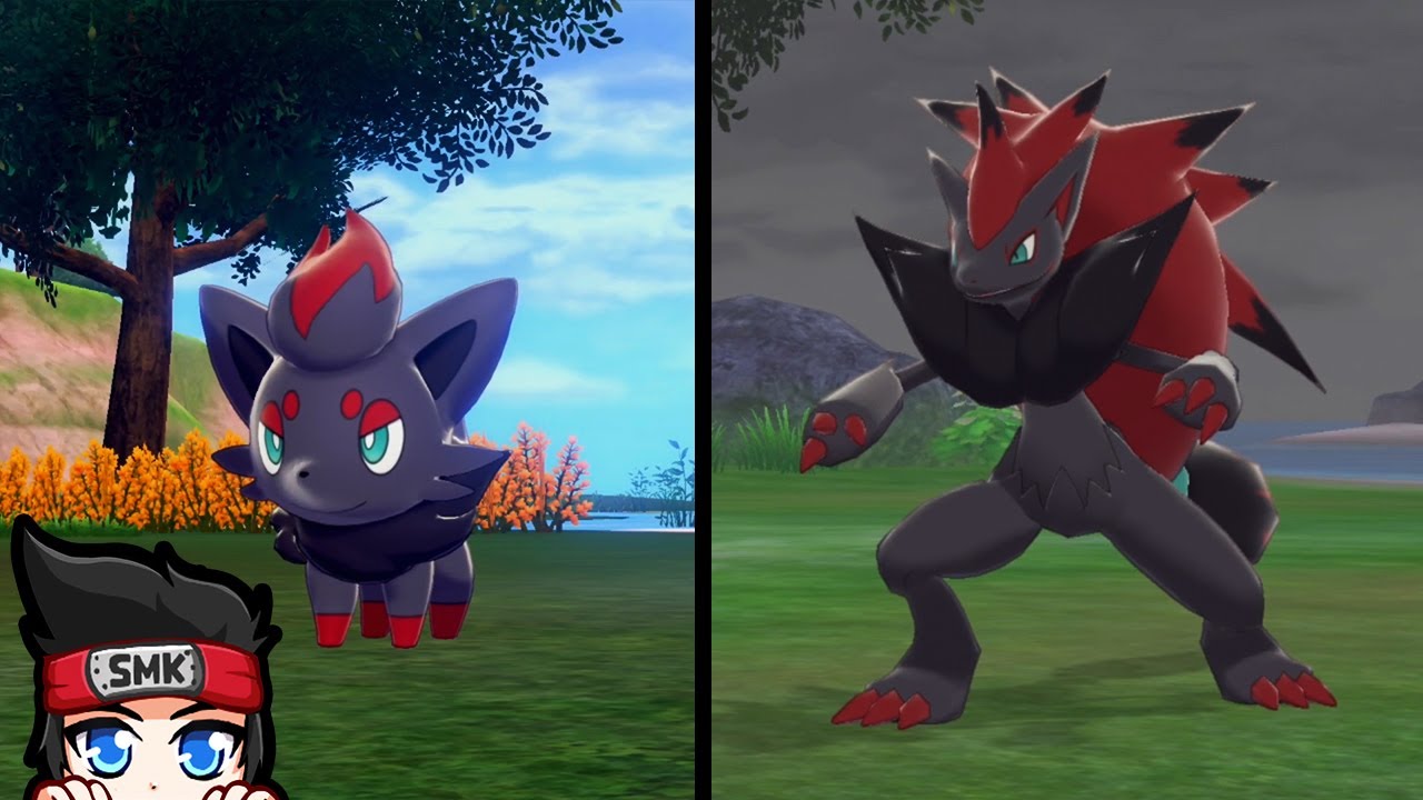 Zorua pokémon sword