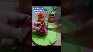 Amazing viral dragon fruit cutting. #amazing #viral #dragon #fruit #cutting #tricks #tips #video