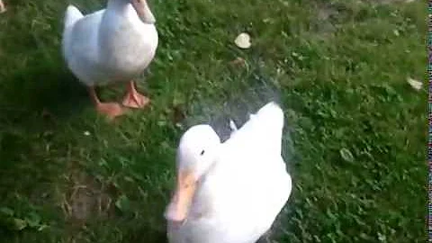 A Complete Waste Of Time