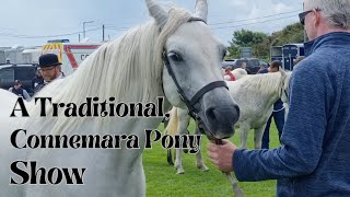 A Traditional, Connemara Pony Show