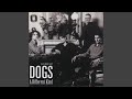 The story of the dogs