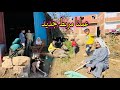 عملنا مربط جديد للمواشي في الشمس والآخر سابوني لوحدي وسافروا