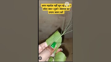 1 लोटा जल 1 दूर्वा 1 बेलपत्र का अचूक उपाय अवश्य करें महादेव जरूर सुनेंगे #pradeepmishrakeupay #yt