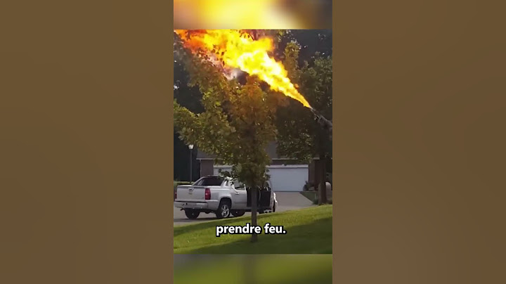 Il A Détruit Ce Nid De Frelons Avec Un Lance-flammes.
