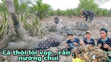 Câu Cá Thòi Lòi Biển , Bắt Vọp Nướng Mọi Cùng Anh Em Hòa Nguyễn