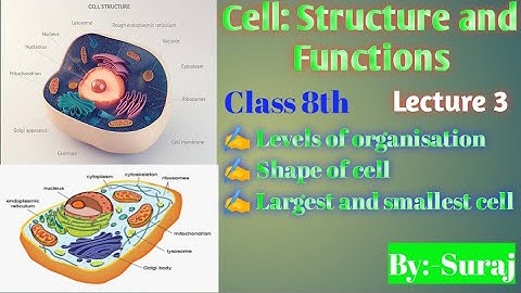 #Cell Structure and Functions/Full Chapter Class 8 Science /NCERT Science Class 8/ Science By Suraj
