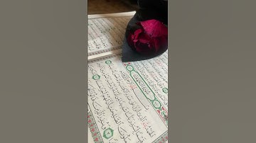 سوره الكهف يوم الجمعه نور ما بين الجمعتين اقراها  كل جمعه ❤️🩷♥️تقبل الله منكم جميعا@#💖🌹🤲🤲🤲🤲