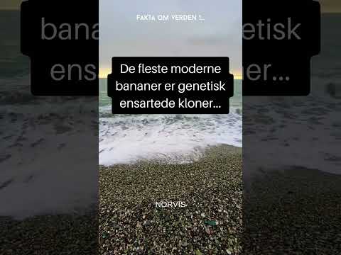 Video: Fakta i verden?