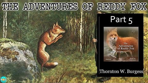 The Adventures of Reddy Fox - Videobook | P5 🎧 Audiobook with Scrolling Text 📖