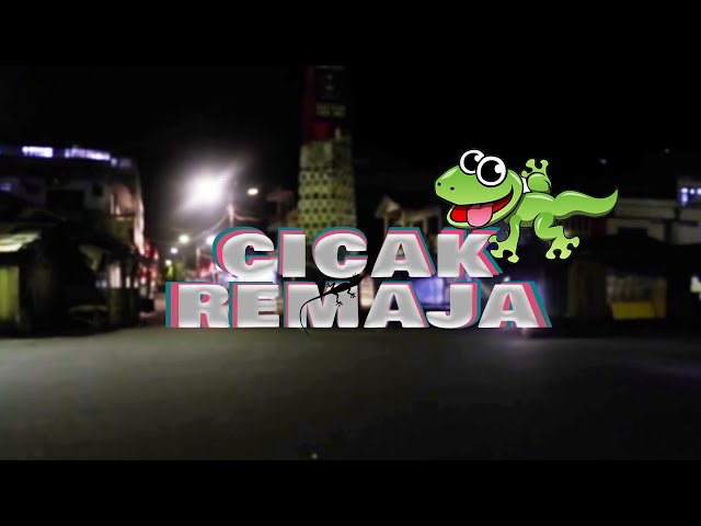 CICAK REMAJA - Official MV - CHALAN ALVARO x VNDRMX class=