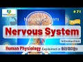 Ep.71 | Nervous System | Introduction | Part-1 | Malayalam