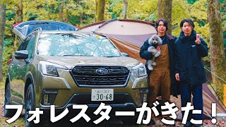 🐶愛犬と秋の森でキャンプ車中泊したら最高に癒されました・・・【SUBARUフォレスター】 by グリィちゃんねる 88,943 views 5 months ago 26 minutes