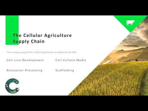 Cellular Agriculture: Investment Landscape and Opportunities - CMS20 Online