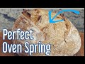 Sourdough Oven Spring: 5 Tips