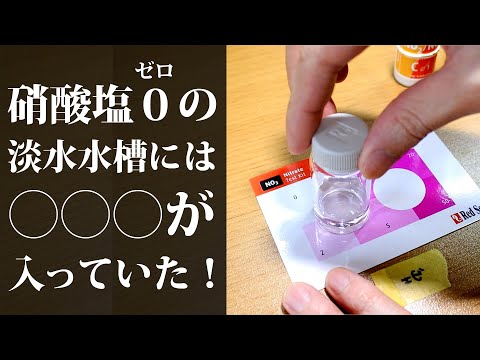 硝酸塩が検出されない水槽には が入っていました アクアリウム Youtube 硝酸塩が検出されない水槽には が入っていました アクアリウム Youtube