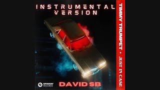 Timmy Trumpet - Just In Case [David SB Instrumental Remix]