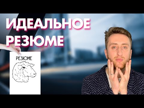Образец резюме для устройства на работу: 5 шагов как составить цепляющее резюме. Пример резюме
