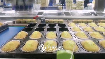 Delta Robot Picking Cakes into Trays, Robotic Packaging Solution for Picking Cake Products