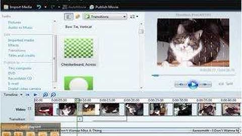 RatChatter How To: Create a Photo Montage Part 1