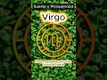 Virgo ♍ Suerte y Prosperidad - Orden, pequeñas victorias y mucha suerte
