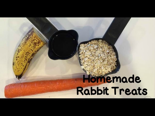 diy rabbit treats