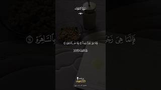 The Call of Allah to Prophet Moses | Surah An-Nazi'at Verses 14-17 #shorts #quran