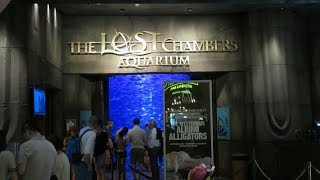 Inside the lost chamber of Atlantis, Palm jumeirah, DUbai