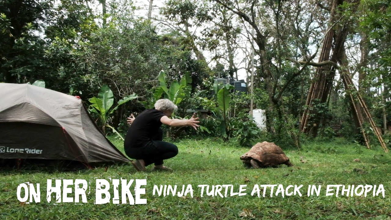Ninja Turtle Attacked my Tent! Solo Motorcycle Travel in Ethiopia