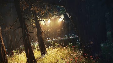 Ghost In The Wilderness. (Unreal Engine 5.1)