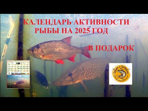Календарь рыбака на 2025 год.