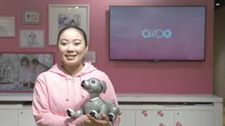 aibo 黒ごま エディションについてご紹介