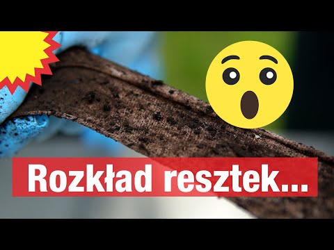 Jak zapobiec degradacji gleby? Pomogą bakterie i mikroorganizmy!