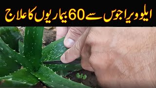 Alovera juice ke Fayde Aur Banane ka Tarika | Aloe Vera Juice Recipe | Dr Naveed Health Care