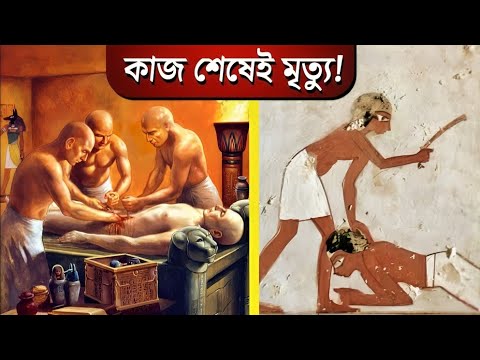 ভিডিও: কেন প্রাণীদের মমি করা হয়েছিল?