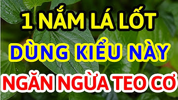 Người Cao tuổi Cứ Dùng LÁ LỐT THEO CÁCH NÀY Cực Tốt Cho Xương Khớp, Ngừa Teo Cơ Chân Khỏe Đến 90!