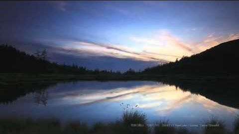 Terence Mckenna - Trust Yourself