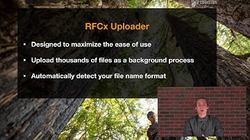 Introducing the new RFCx Arbimon Uploader!