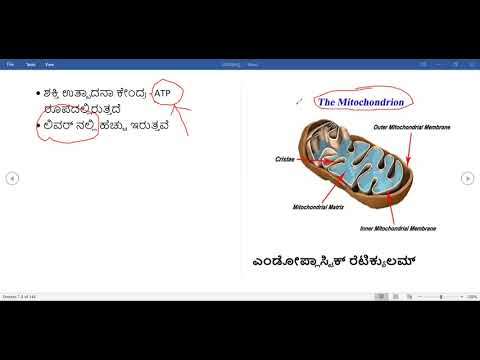 Biology Live Class Mitochondria ಮೈಟೊಕಾಂಡ್ರಿಯ