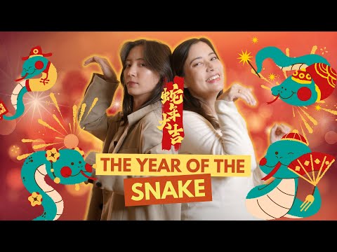 Snake Lunar New Year Phrases 🐍🎆 - video from Skritter