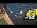 УЧИМСЯ ЛОВИТЬ КАРПА! CARPTODAY FEST 2021! САМЫЙ СУРОВЫЙ ФЕСТИВАЛЬ ПО КАРПФИШИНГУ!